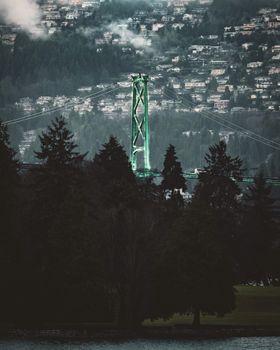 Lion's Gate Bridge with foggy Vancouver forest backdrop, creating a mysterious ambiance.