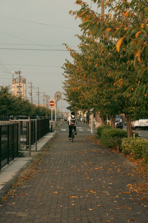 Free A person cycling on an autumn path in Toyohashi, Japan with fallen leaves and urban scenery. Stock Photo