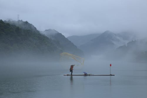 Foto profissional grátis de de pé, floresta, garoa