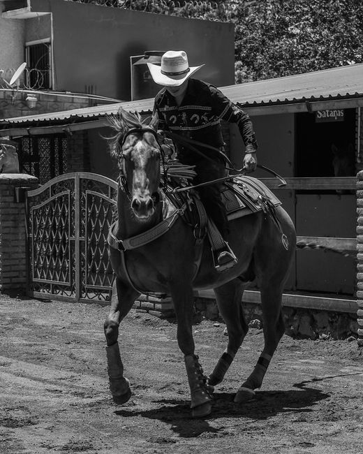 Monochrome image of a cowboy riding a horse in a rural environment, highlighting equestrian skills.