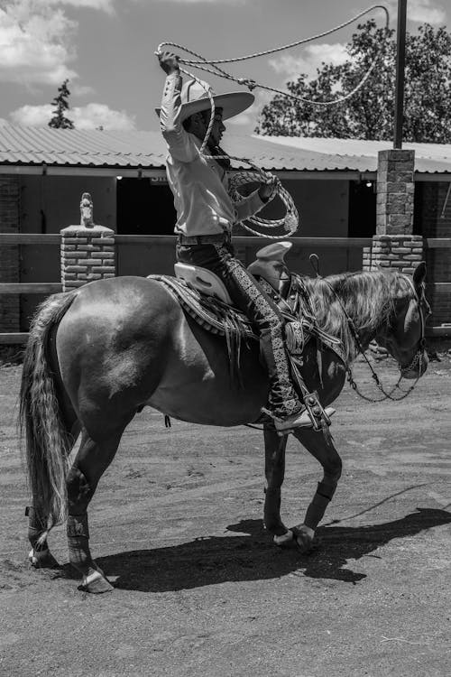 คลังภาพถ่ายฟรี ของ vaquero, การขี่ม้า, ขาวดำ