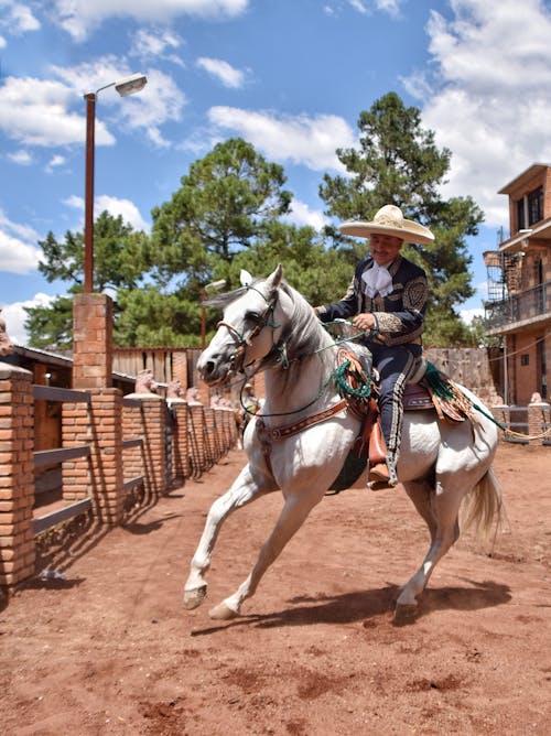A man in a cowboy hat rides a horse