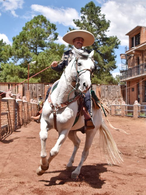 A man in a sombrero riding a white horse