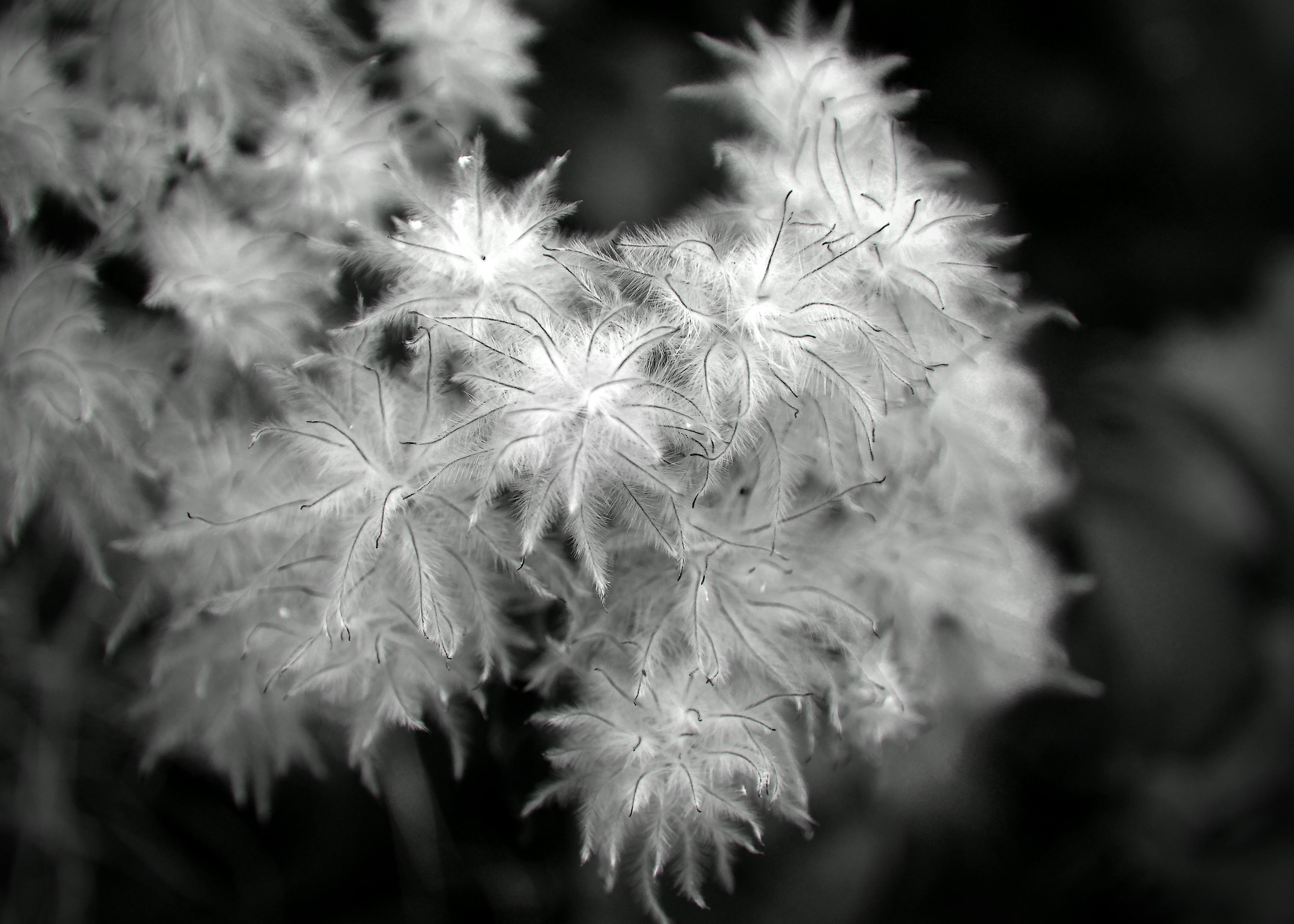 grátis Foto profissional grátis de @exterior, □ gentil, amável Foto profissional