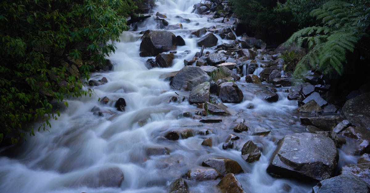 Rocks in Stream · Free Stock Photo