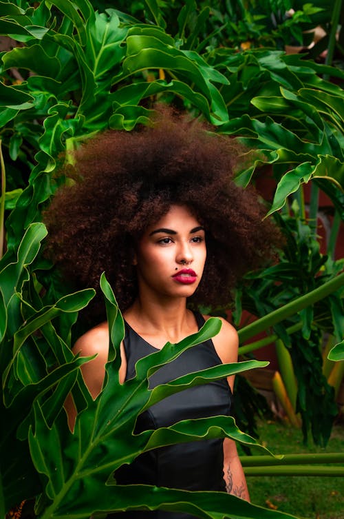 Free Woman Standing Near Green Leaf Plants Stock Photo