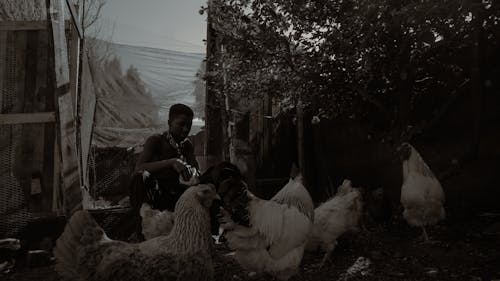 Black man with animals