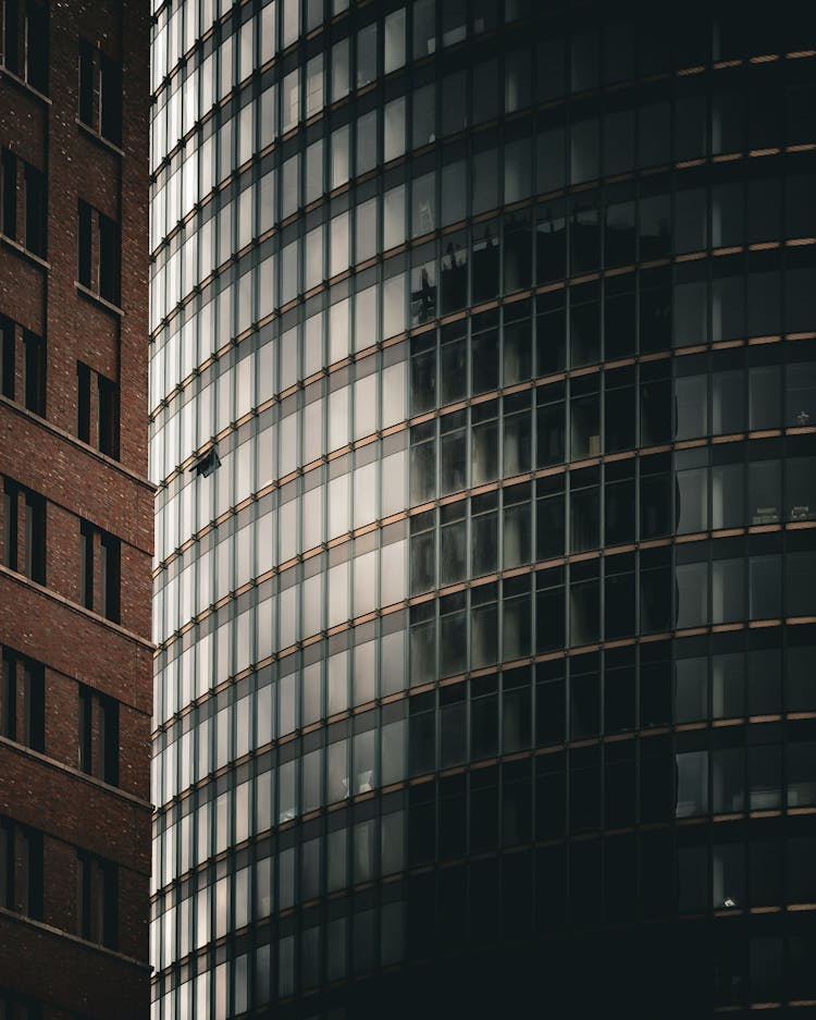 Windows Of Modern Office Building