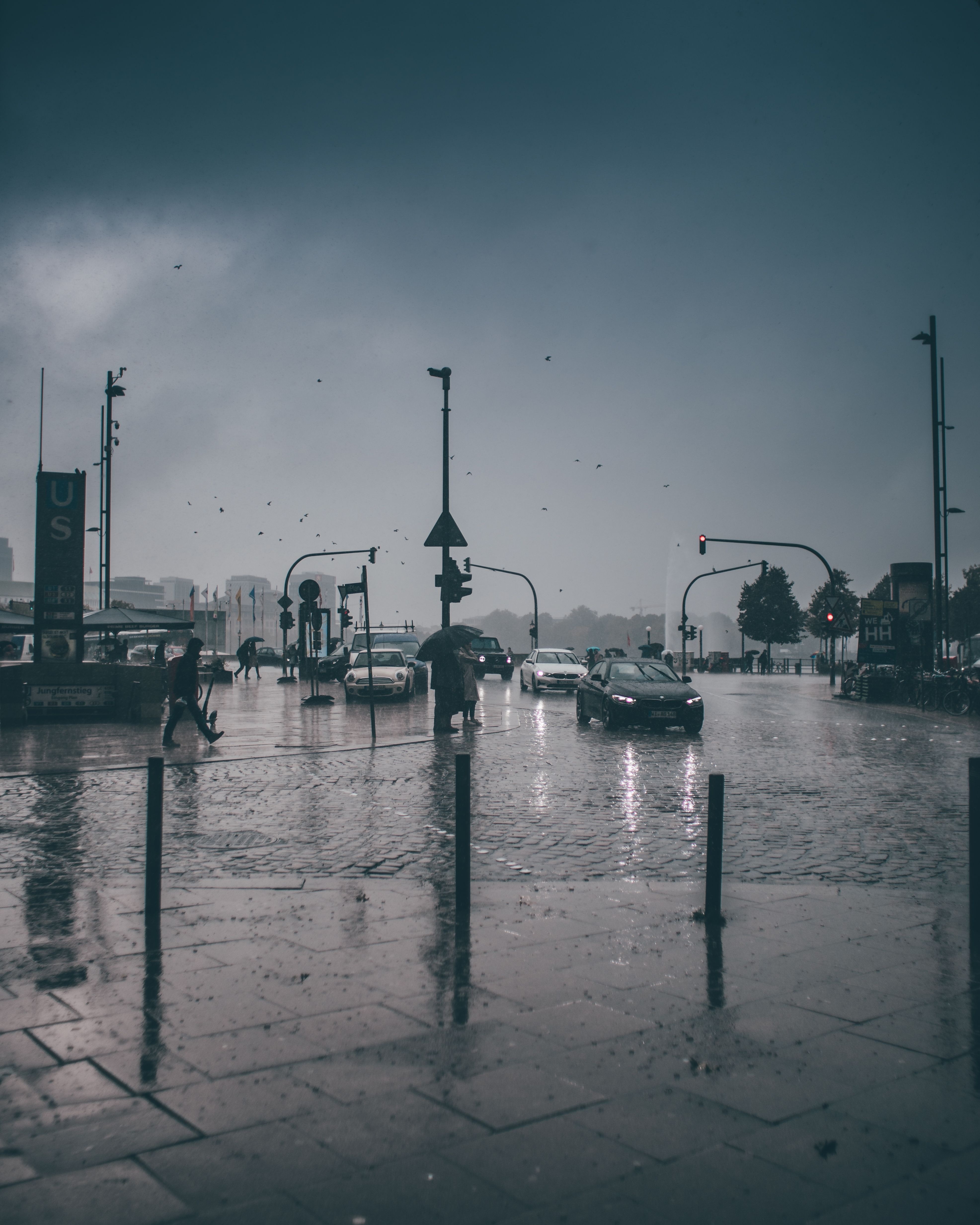 Cars on Street in Rain · Free Stock Photo
