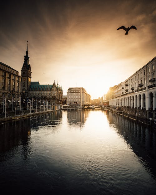 View of the Alster River and Buildings in Hamburg, Germany