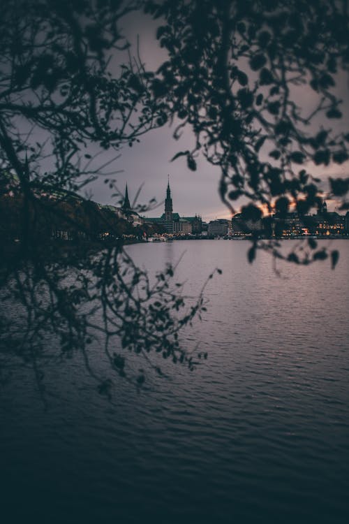 City River in the Evening Seen through Branches