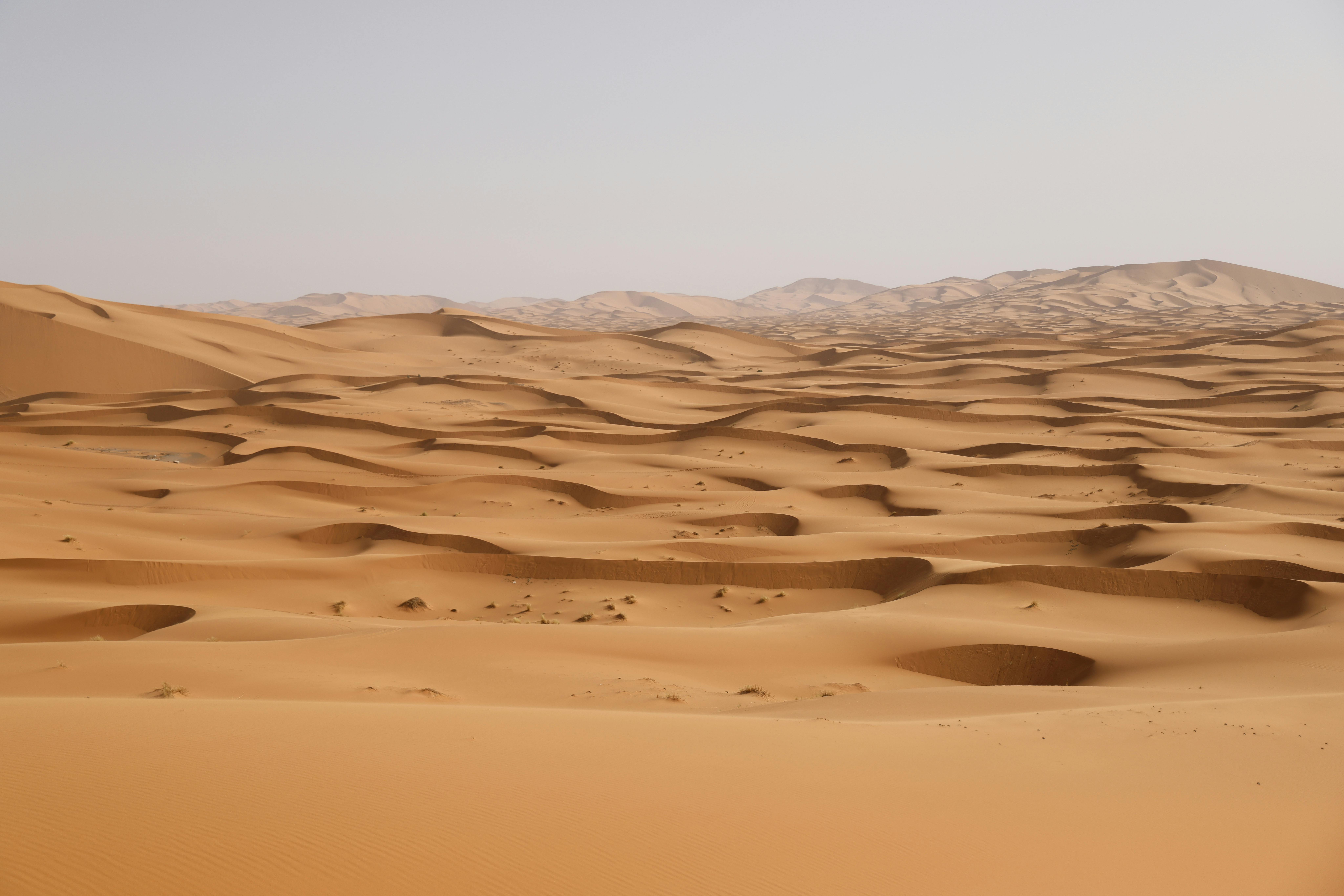 Vast desert landscape featuring rolling sand dunes under a clear sky.