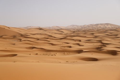 Free Vast desert landscape featuring rolling sand dunes under a clear sky. Stock Photo