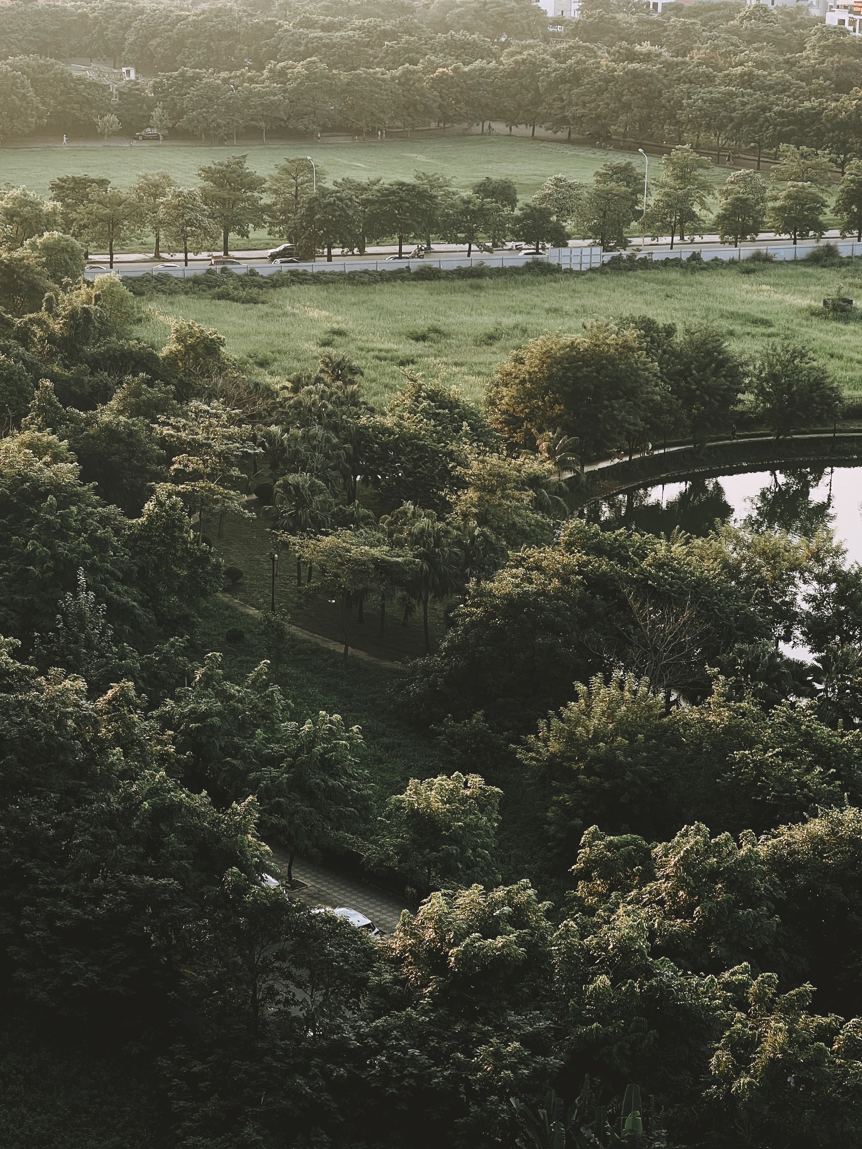Aerial view of a park with trees and a lake · Free Stock Photo
