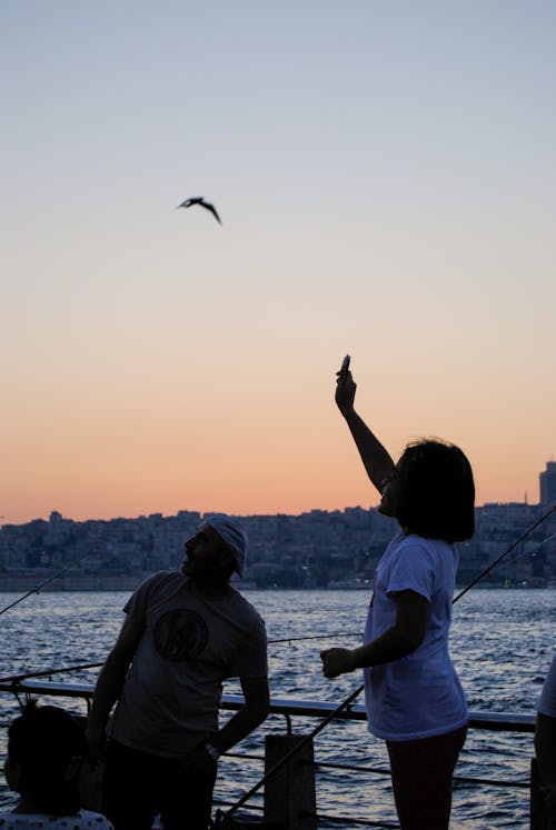 Free stock photo of istanbul, marmara, pexels
