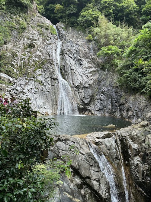 Immagine gratuita di acqua, albero, bellissimo