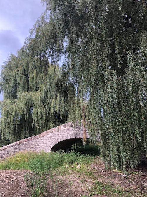 Kostenloses Stock Foto zu außerorts, bogen, brücke