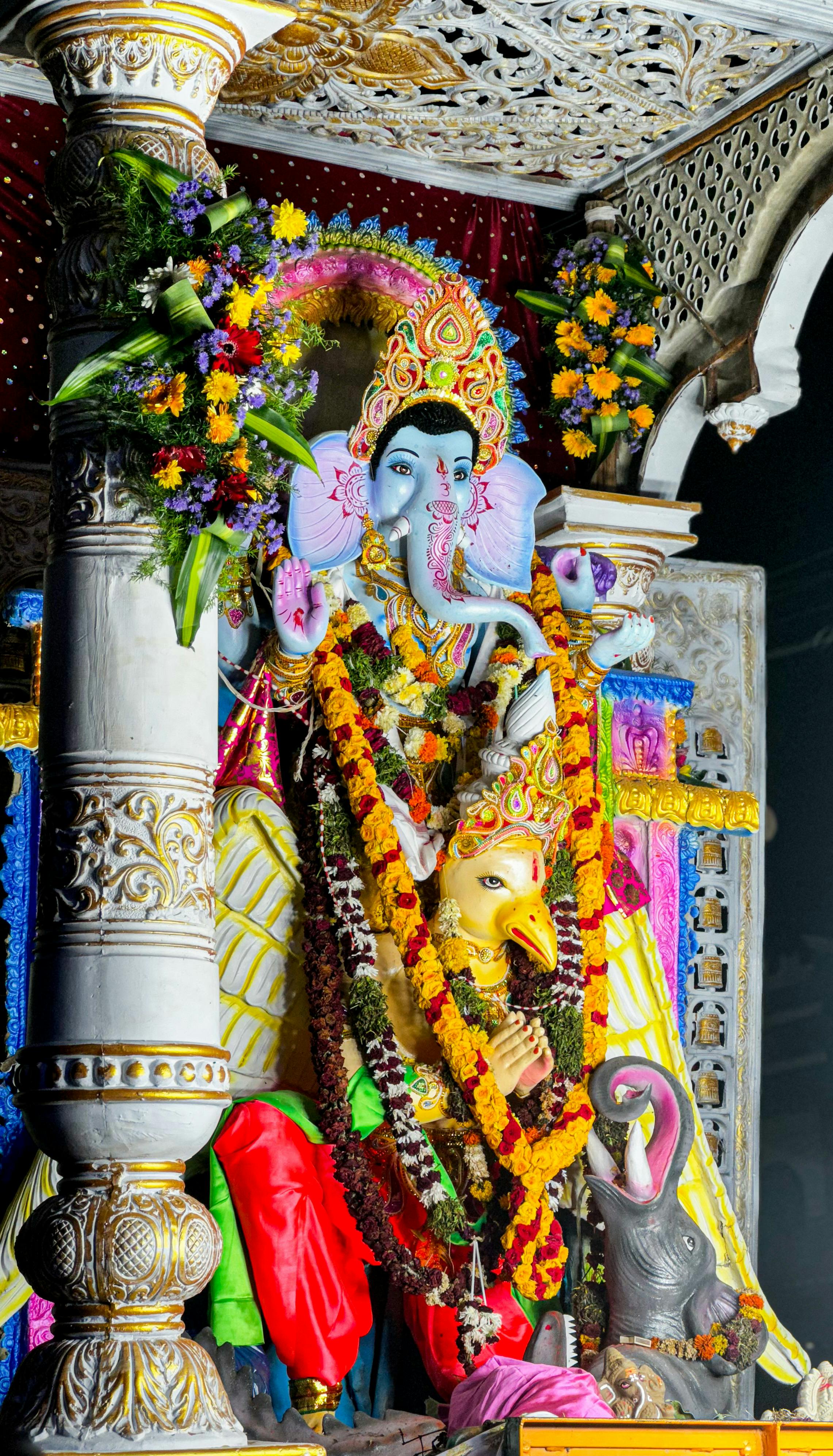 Hindu Brahman Photos, Download The BEST Free Hindu Brahman Stock Photos