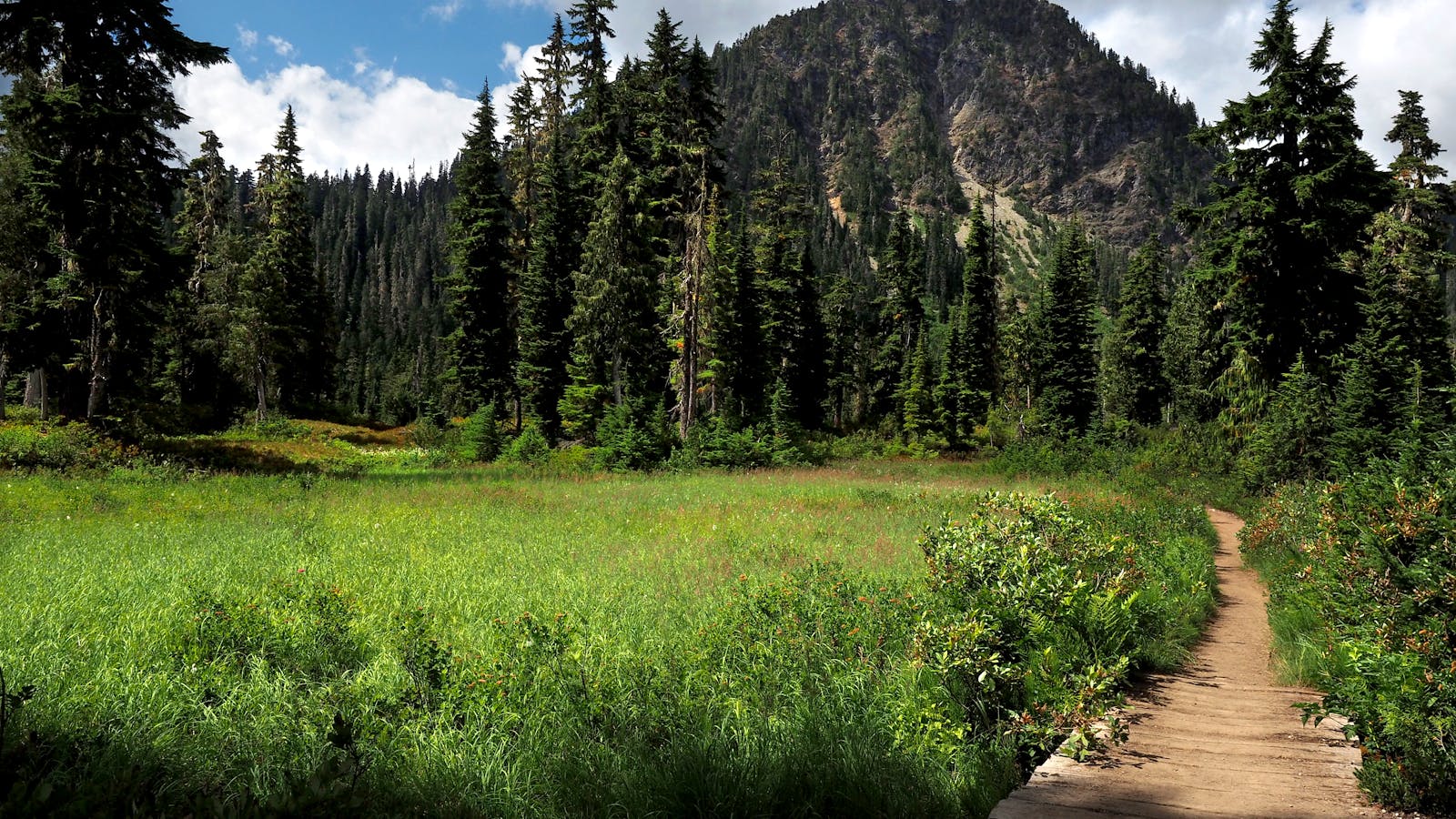 Outside Photos Download The BEST Free Outside Stock Photos HD Images