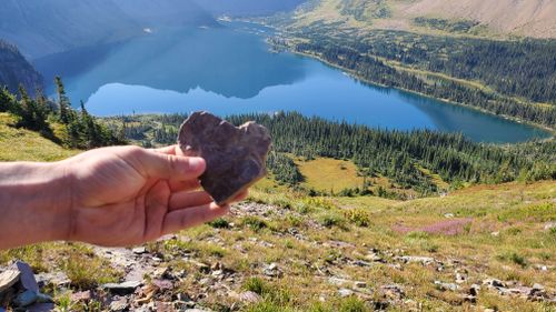 Free Hidden lake trail, glacier national park Stock Photo