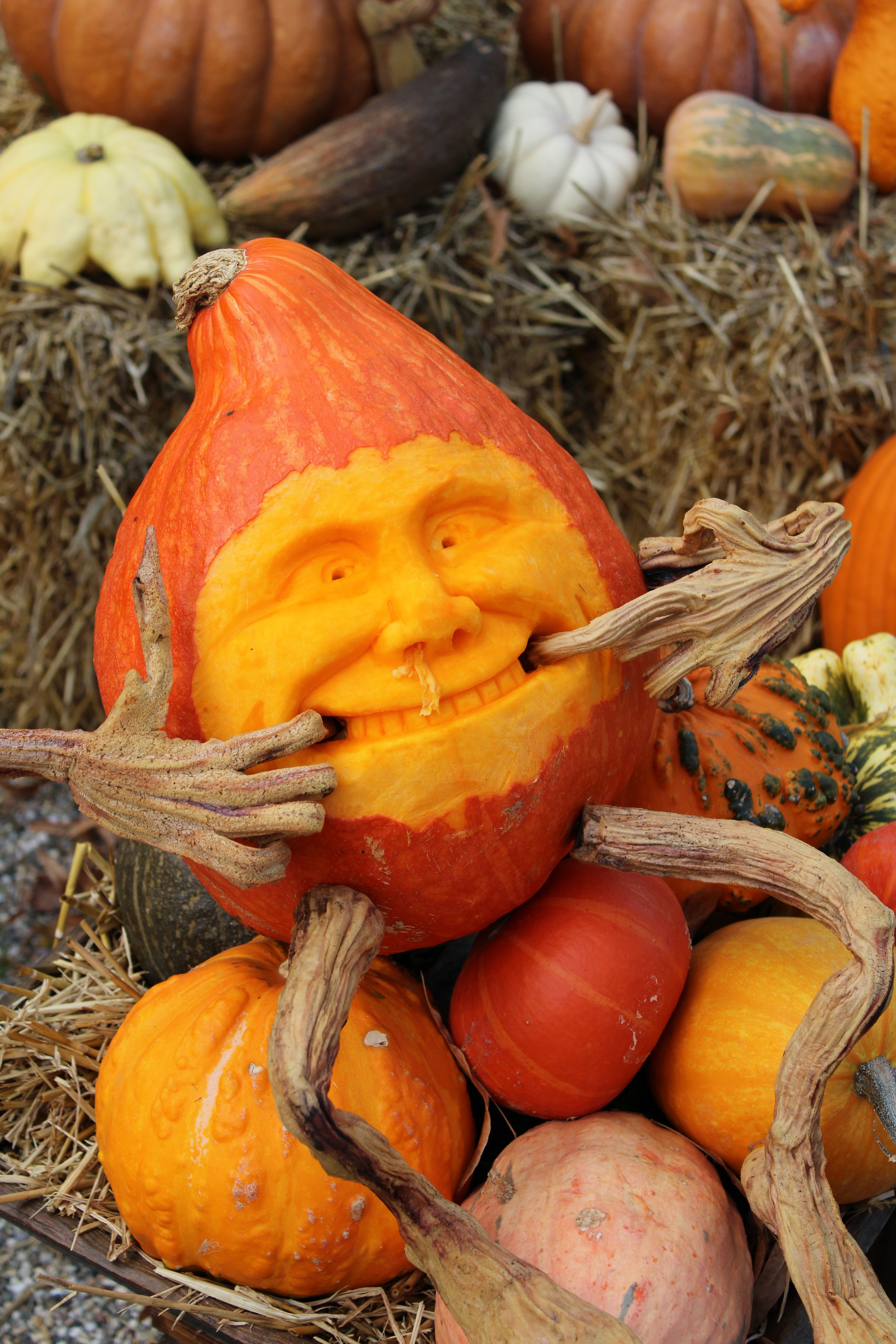 Trick-or-treat hours