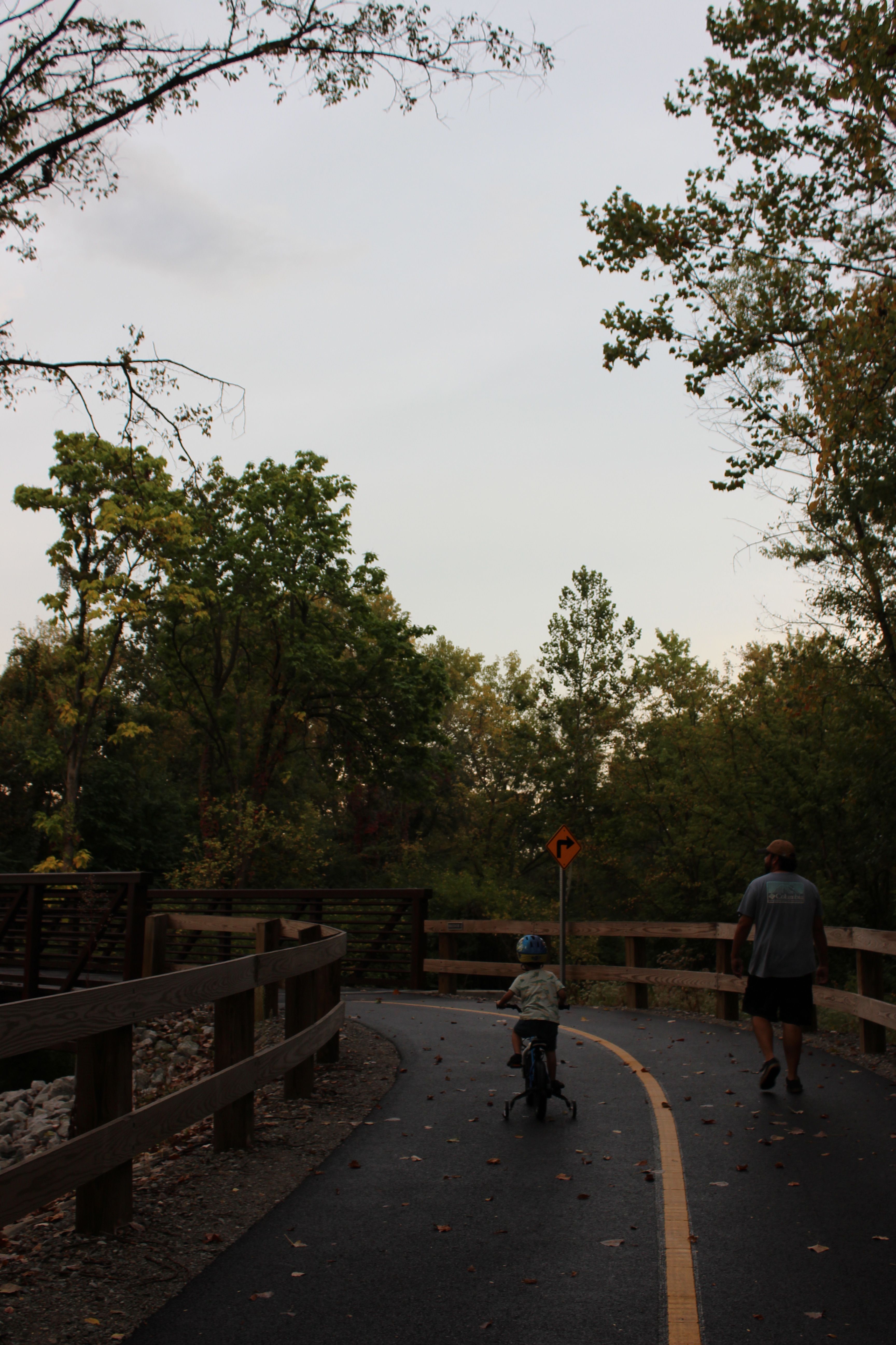 things to do in sarasota with kids
