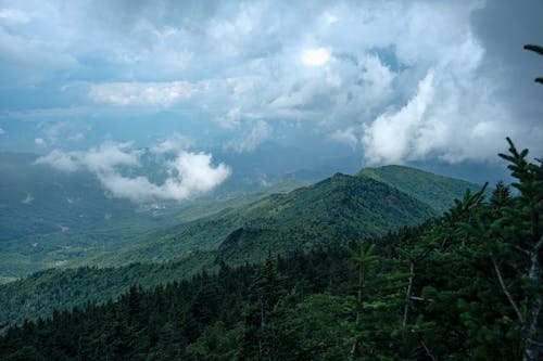 Appalachians Bracing for Downpours and Rising Water Saturday