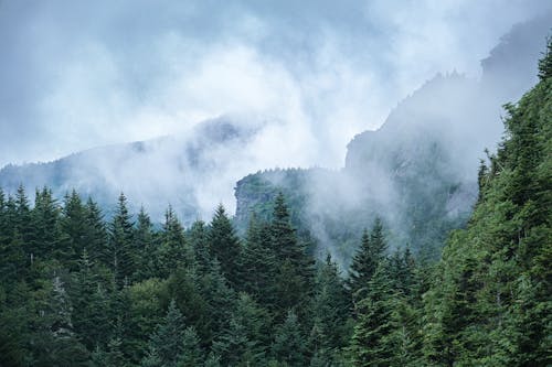 ağaçlar, bulutlar, dağlar içeren Ücretsiz stok fotoğraf