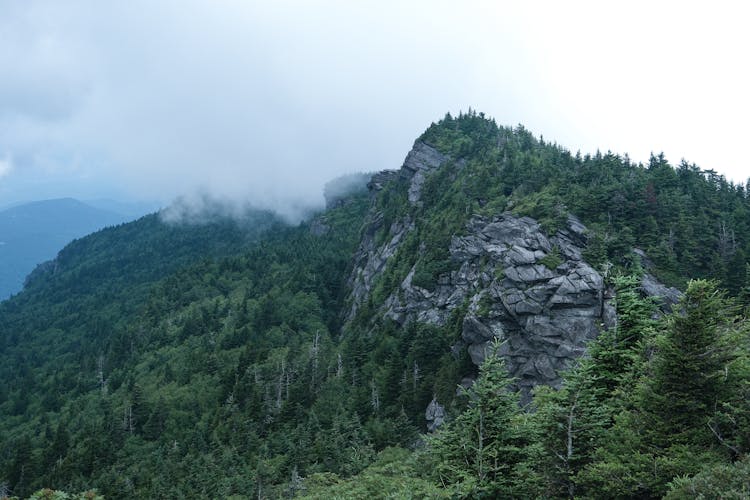 Aerial View Of Rocky Mountains Covered With Trees