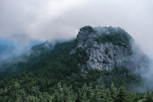 Rocky Hill Among Coniferous Trees in Fog 