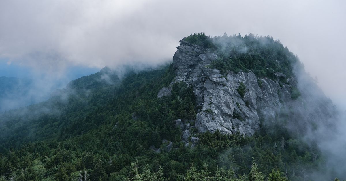 Foggy and misty landscape of Grandfather Mountain, North Carolina, showcasing rocky terrain and dense coniferous forest.
