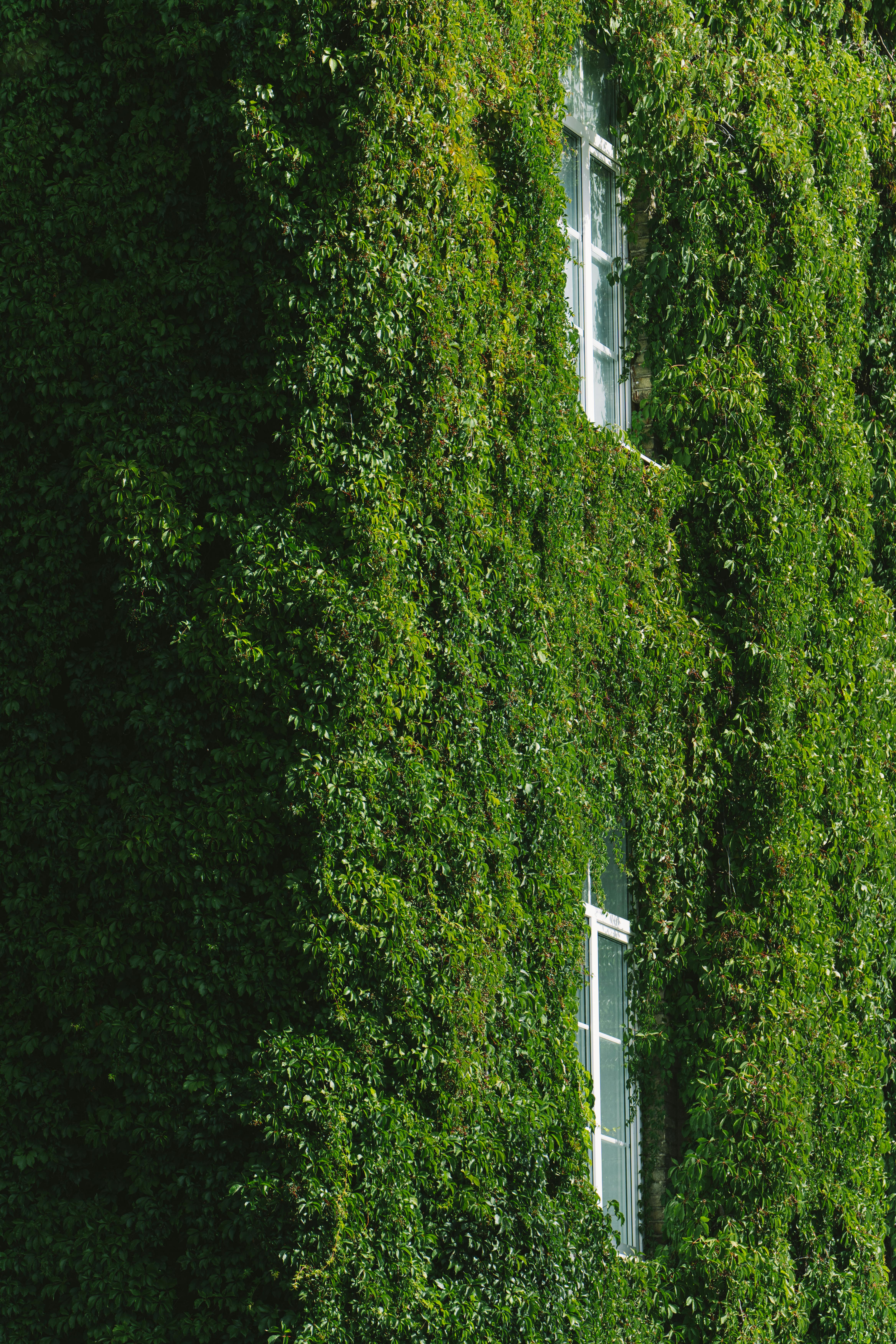 How Are The Legal Implications Of Rent Control Laws?