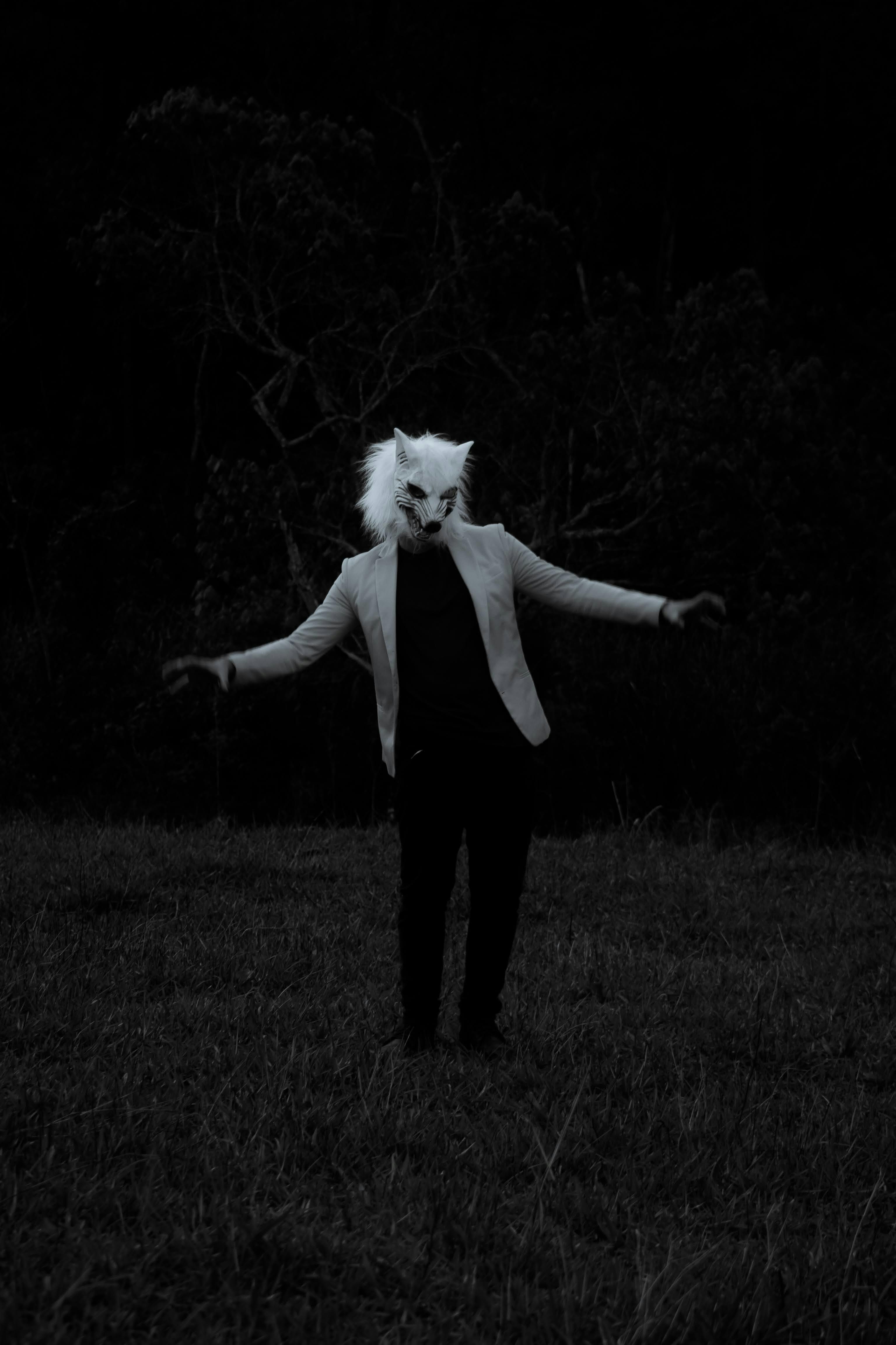 Person in Wolf Mask and Jacket Posing on Grassland at Night · Free