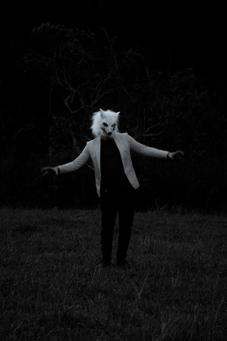 Person In Wolf Mask And Jacket Posing On Grassland At Night