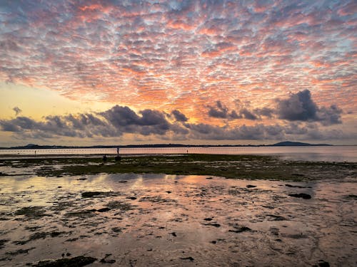 Free stock photo of beach, landscape, sunrise