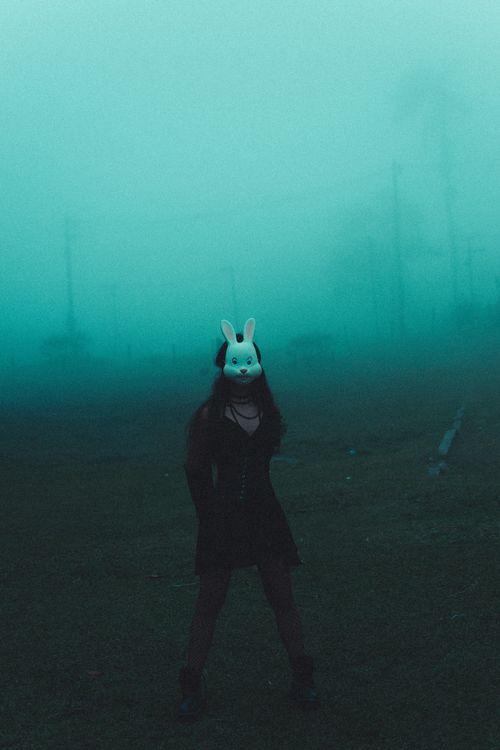 Free A woman in black with a rabbit mask poses enigmatically in a foggy, rural setting. Stock Photo