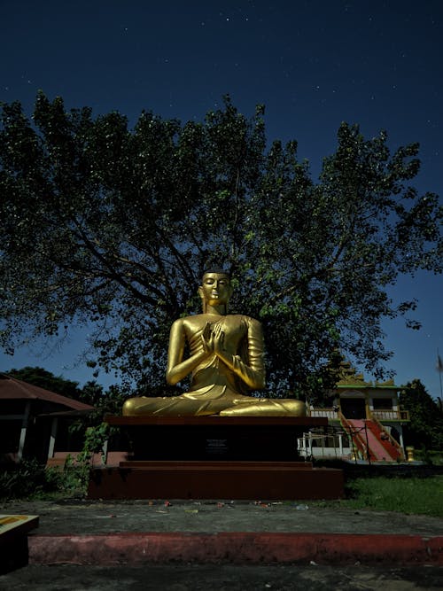 Free stock photo of buddha