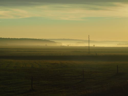 Fog over Rural Fields