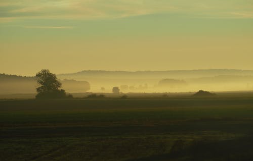 Fog over Rural Fields on Plains