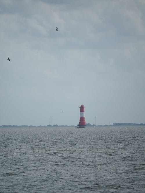 Kostenloses Stock Foto zu beratung, küste, leuchtturm