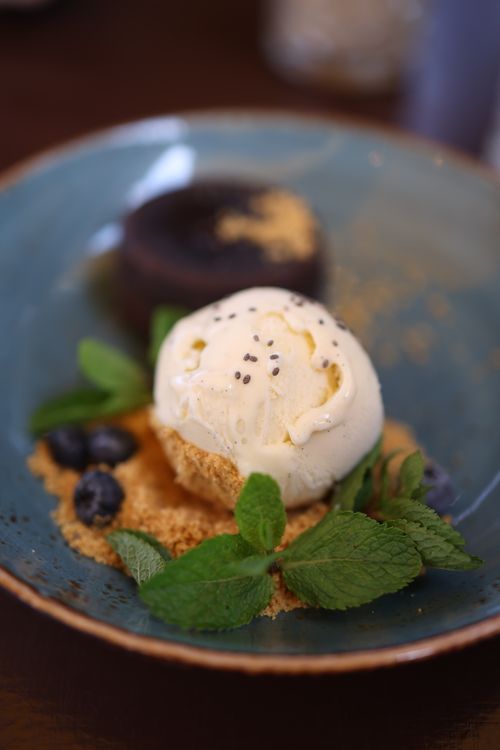 Free Delicious vanilla ice cream with mint leaves, blueberries, and a chocolate dessert. Stock Photo