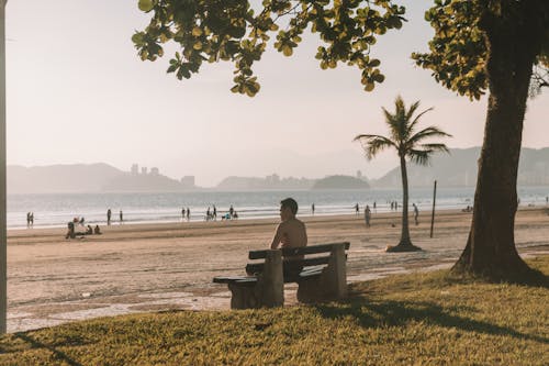 Shirtless Man Sitting on Bench Fronting Beach