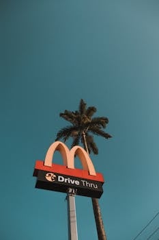 Low angle shot of a McDonald's drive thru sign with a palm tree against a clear blue sky.