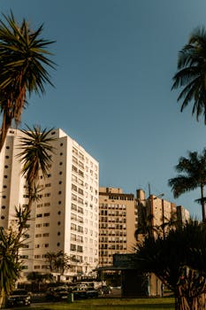 白天，现代城市建筑被棕榈树环绕的景色