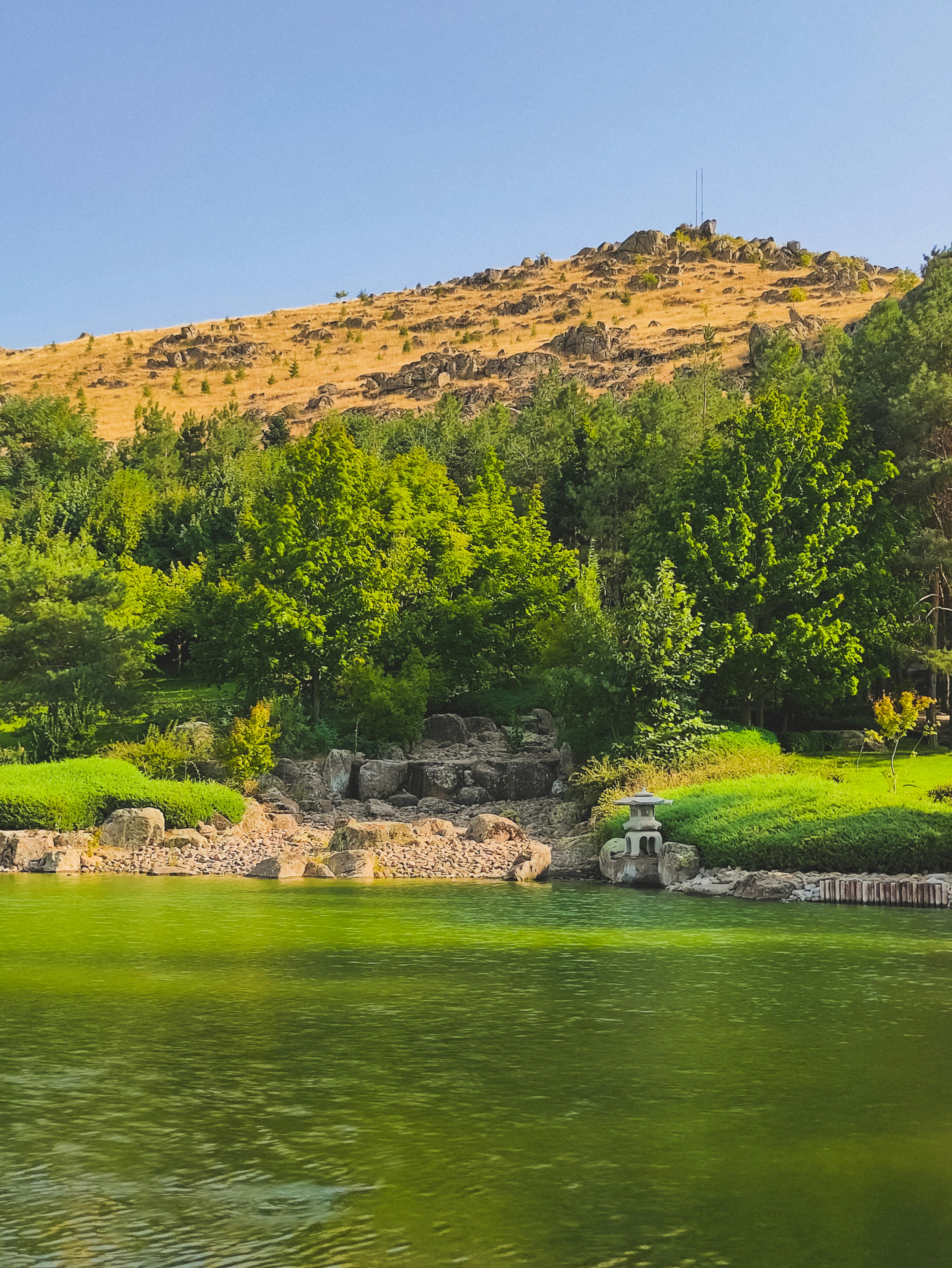 a lake surrounded by green grass and trees