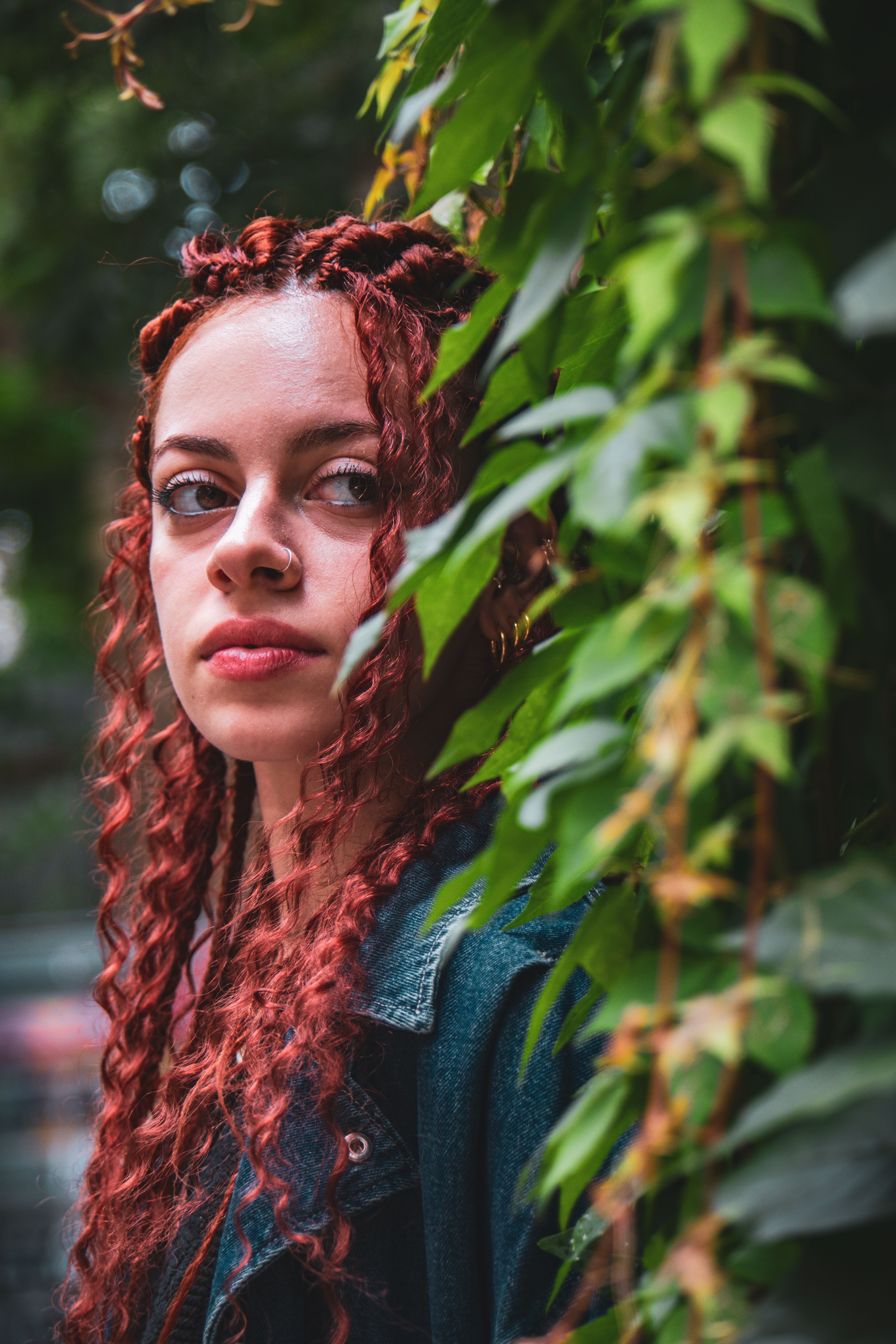 Woman Among Shrubs in a Forest · Free Stock Photo