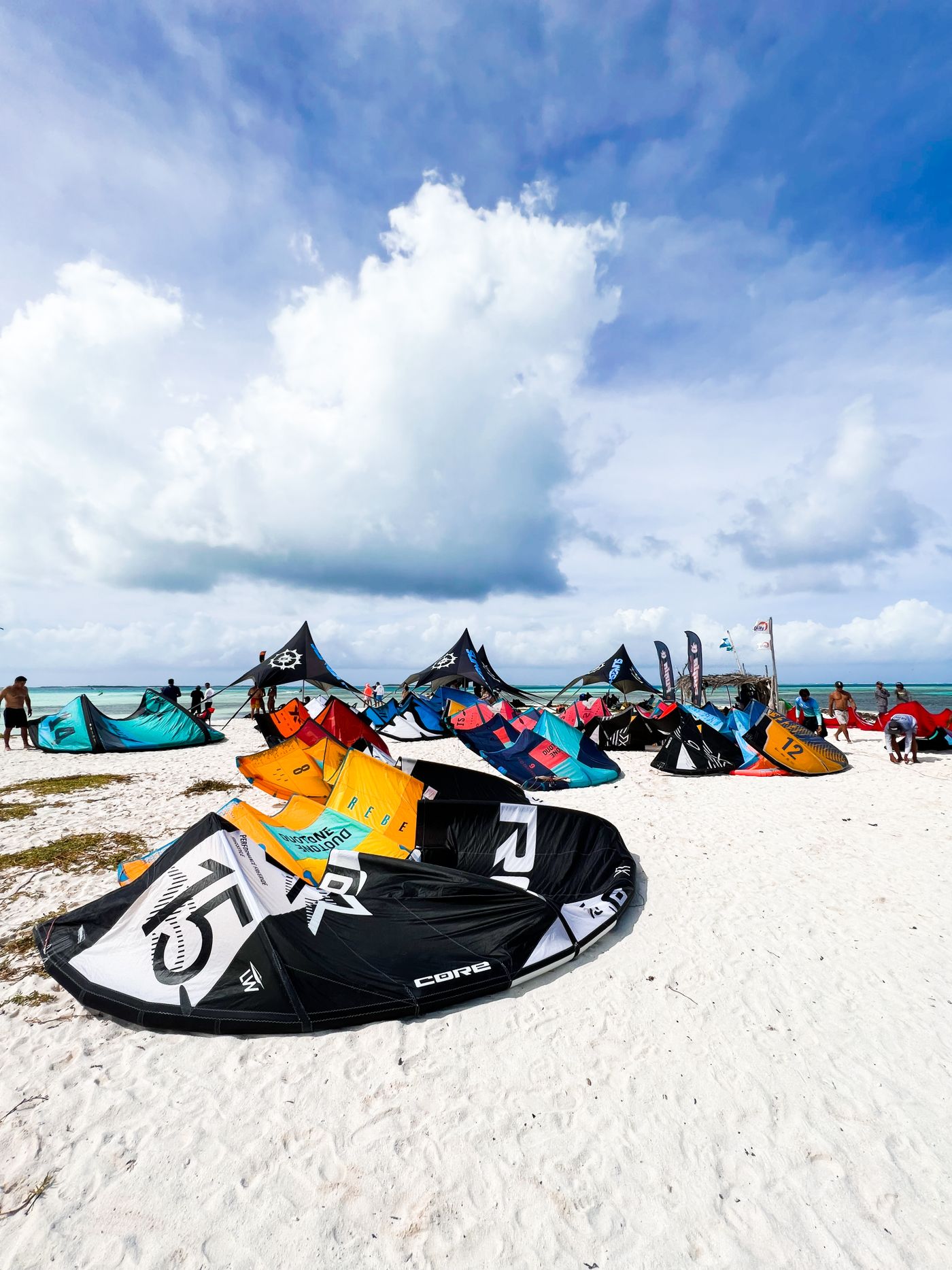 Kites laid out on a sandy beach