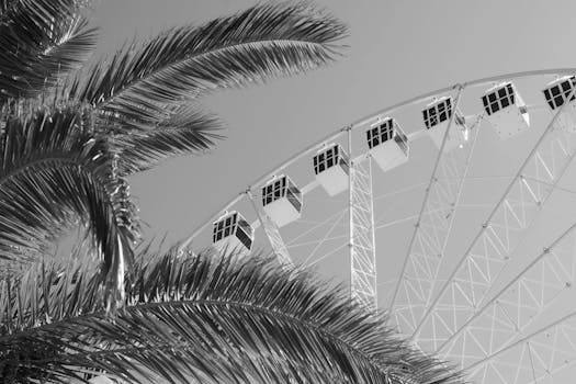 A striking black and white photo of a Ferris wheel framed by palm trees in Alghero, Sardinia.