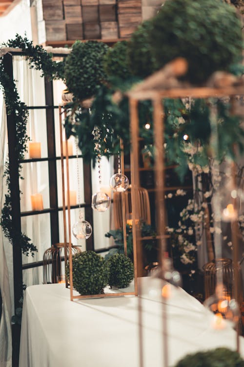 Groene Planten Op Wit Tafelkleed In Verlichte Kamer