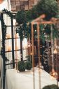 Green Plants on White Tablecloth Inside Lighted Room